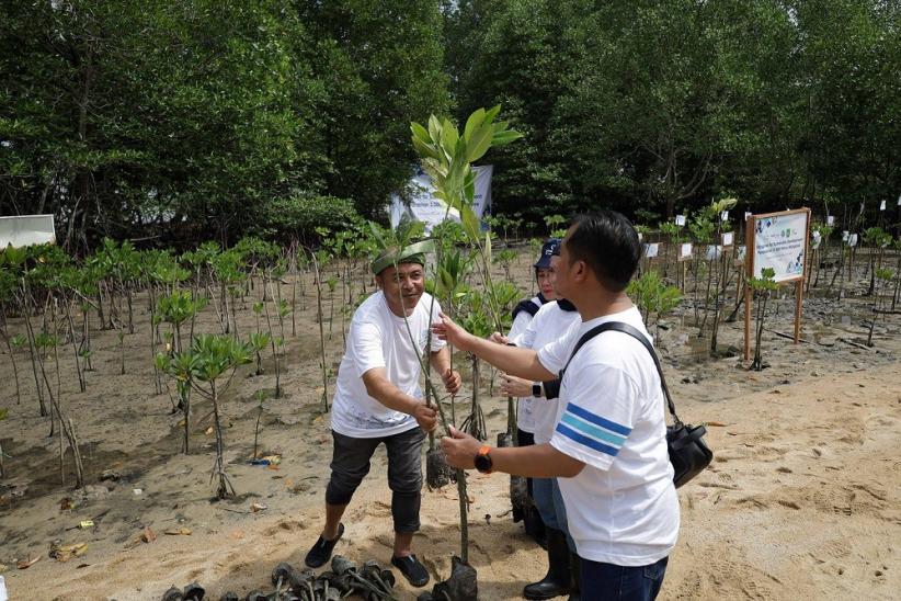 Aksi Penanaman 3.000 Bibit Mangrove di Batam - Bagian 1