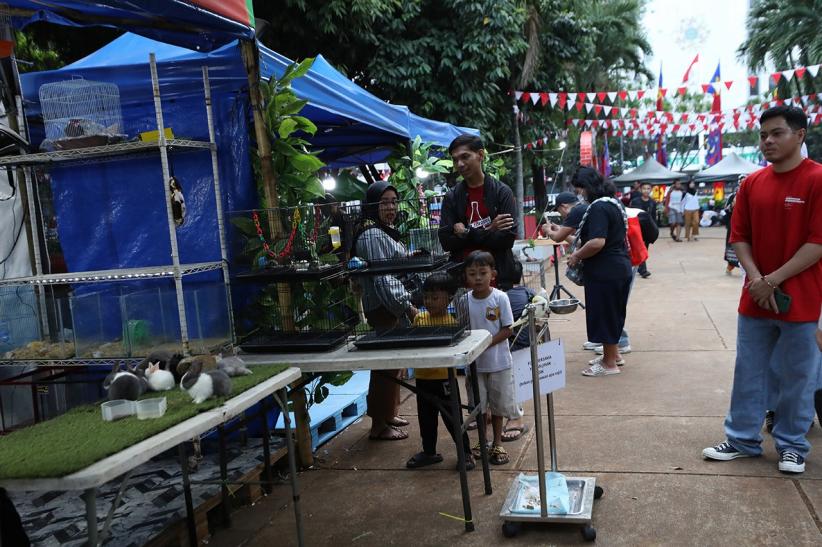 Pameran Flona 2025 Dorong Potensi Flora dan Fauna Unggulan Daerah - Bagian 4