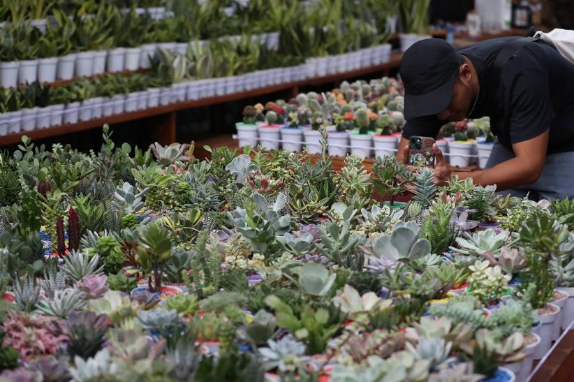 Pameran Flona 2025 Dorong Potensi Flora dan Fauna Unggulan Daerah - Bagian 1