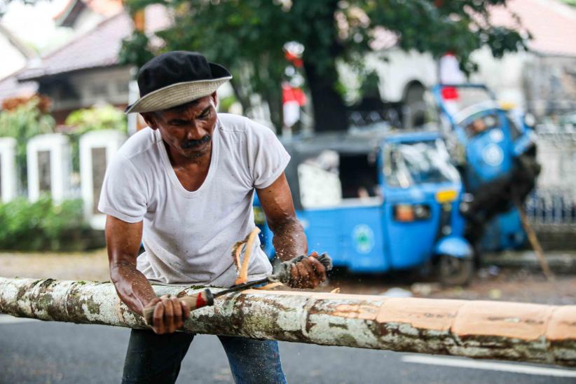 Melihat Kesibukan Pedagang Pohon Pinang Jelang HUT ke-80 RI - Bagian 1