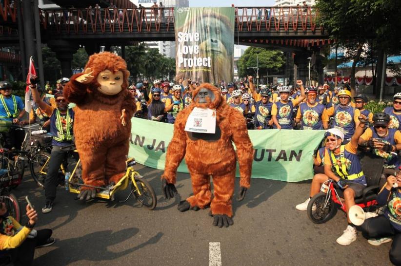 Peringatan Hari Orangutan Sedunia 2025 - Bagian 3