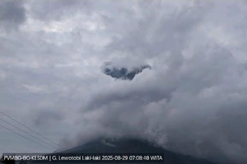 Gunung Lewotobi Laki-Laki Meletus 2 Kali Siang Ini, Kolom Abu Capai 1.500 Meter