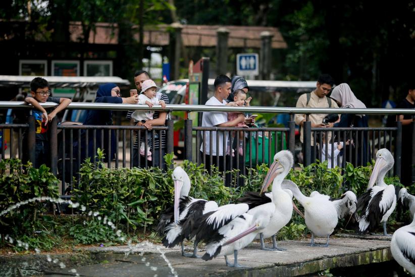 Libur Maulid Nabi, Wisatawan Kunjungi Taman Margasatwa Ragunan  - Bagian 3