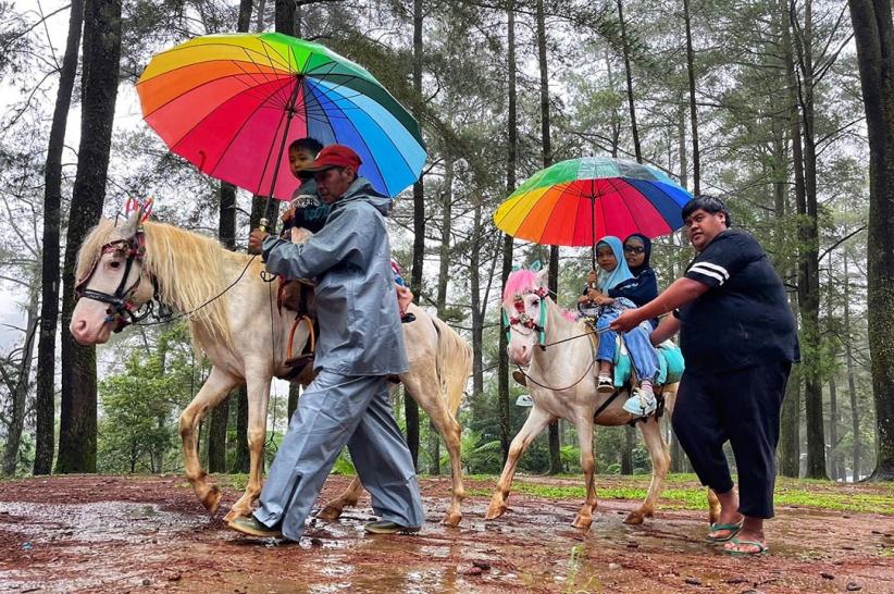 Wisata Berkuda Jadi Daya Tarik Pengunjung Hutan Pinus Malino - Bagian 1