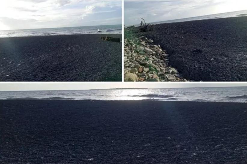 Viral Narasi Bukit Liman di Kupang Meletus, Ini Fakta Sebenarnya
