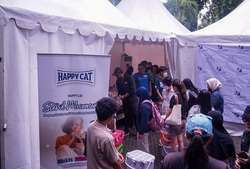Gerakan Sterilisasi Kucing Ajak Masyarakat Wujudkan Cinta Lewat Tindakan - Bagian 1