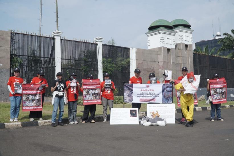 Aksi Surat Cinta untuk DPR Serukan Penghentian Perdagangan Daging Anjing dan Kucing - Bagian 2
