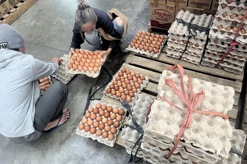 Harga Telur Ayam Naik Jelang Ramadan - Bagian 1