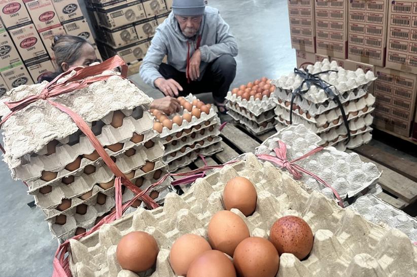 Harga Telur Ayam Naik Jelang Ramadan - Bagian 2