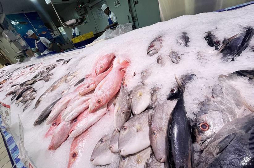 KKP: Harga Ikan Nasional Dipastikan Stabil Selama Ramadan - Bagian 3