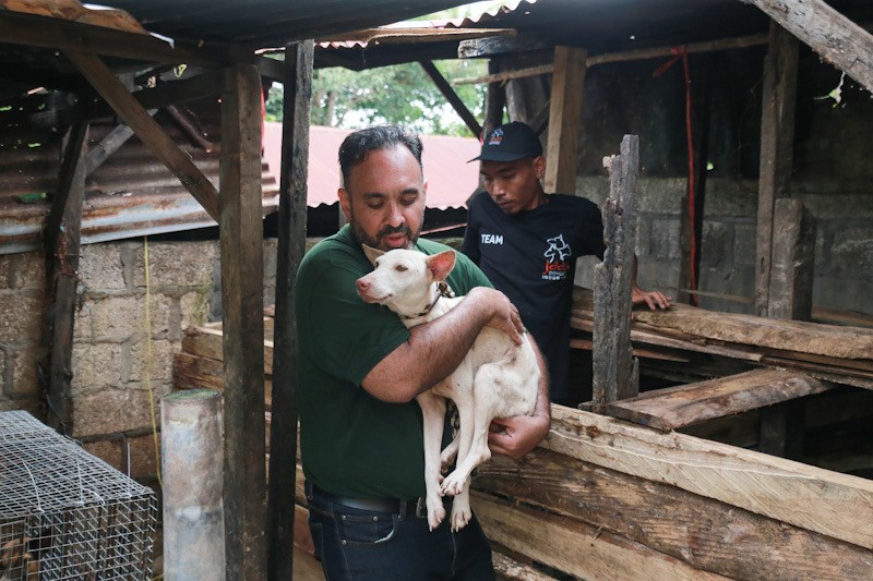 Dua Pelaku Usaha Daging Anjing di Kupang Tutup Permanen, 10 Anjing Diselamatkan - Bagian 1