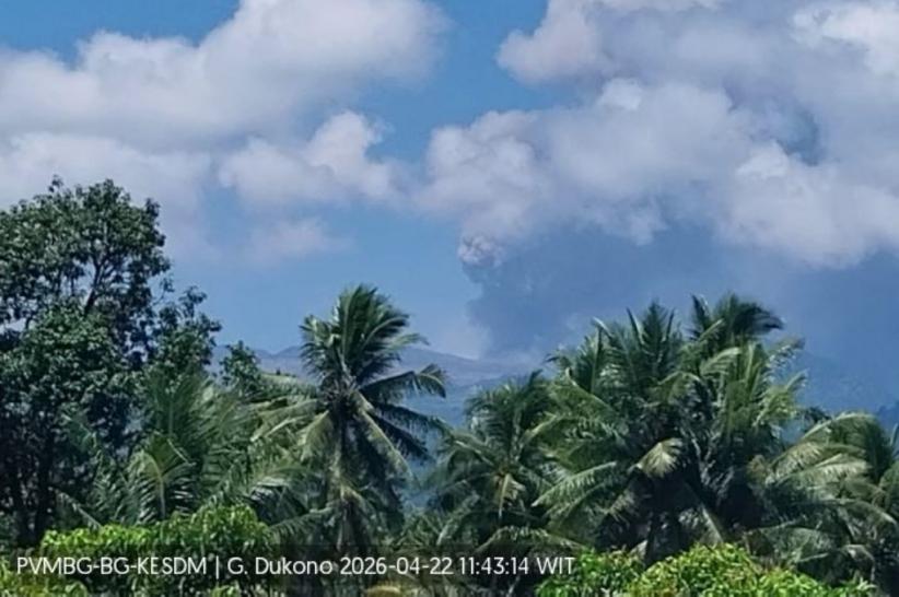 Gunung Dukono Kembali Erupsi, Semburkan Kolom Abu Setinggi 800 Meter