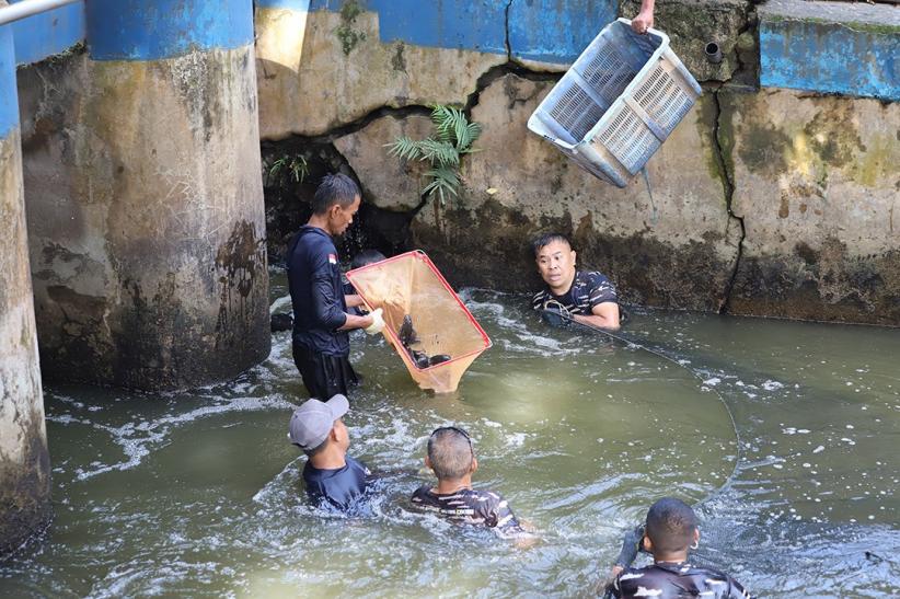 TNI AL Dikerahkan Bantu Basmi Ikan Sapu-Sapu - Bagian 1