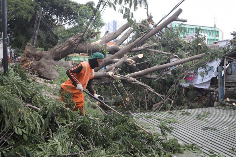 Pohon Tumbang Timpa Warung di Rawamangun - Bagian 1