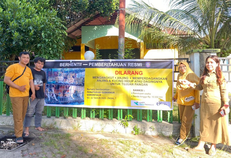 Pemprov Gorontalo Resmi Larang Perdagangan Daging Anjing dan Kucing - Bagian 2