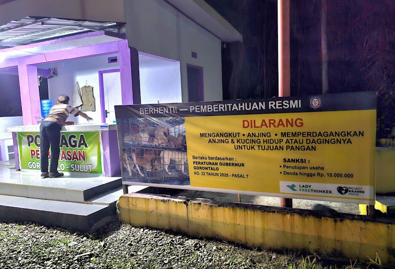 Pemprov Gorontalo Resmi Larang Perdagangan Daging Anjing dan Kucing - Bagian 1