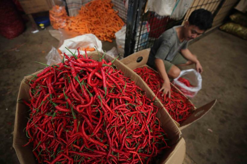 Harga Cabai Meroket Jelang Iduladha - Bagian 1