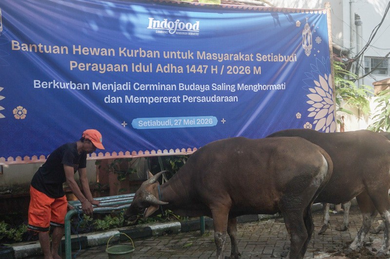 Ratusan Hewan Kurban Disebar pada Idul Adha 1447 H - Bagian 3