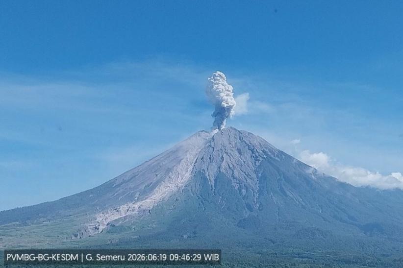 Gunung Semeru Erupsi Siang Ini, Kolom Abu Tebal Capai Ketinggian 800 Meter