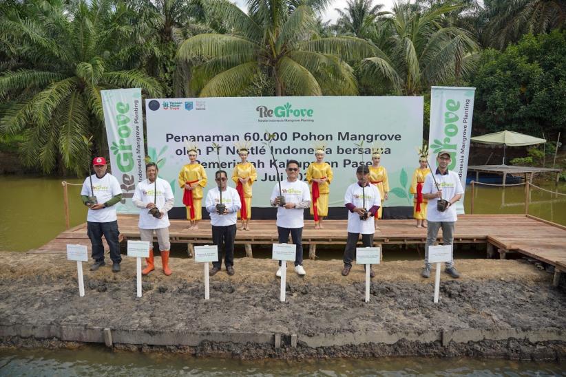 60.000 Pohon Mangrove Ditanam di Kawasan Pesisir Desa Modang Paser Kaltim - Bagian 2