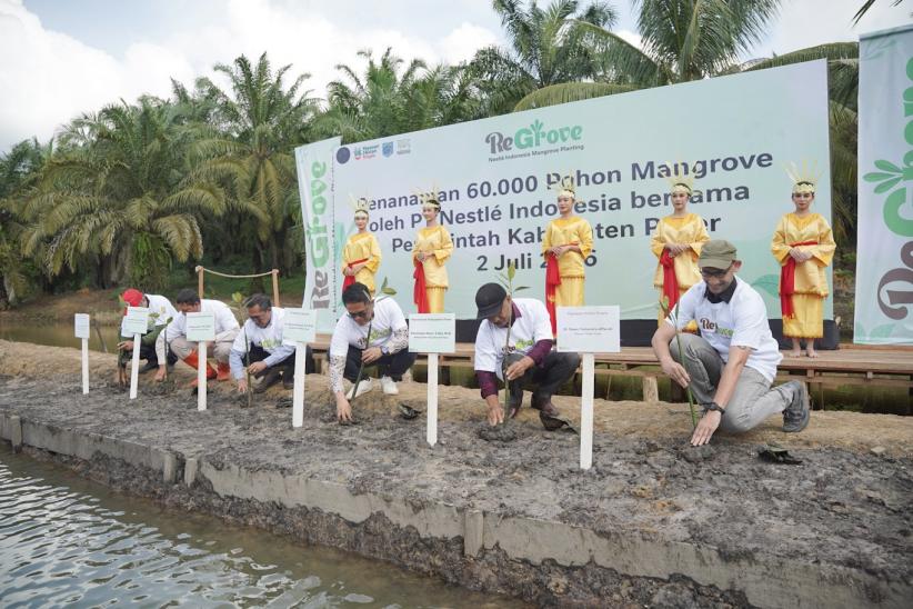 60.000 Pohon Mangrove Ditanam di Kawasan Pesisir Desa Modang Paser Kaltim - Bagian 1