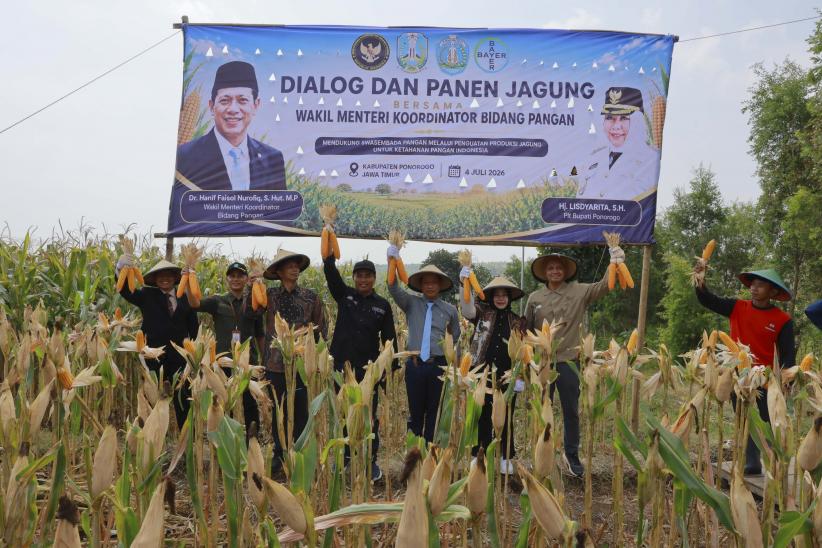 Potret Petani Ponorogo Jawa Timur Panen Jagung - Bagian 4