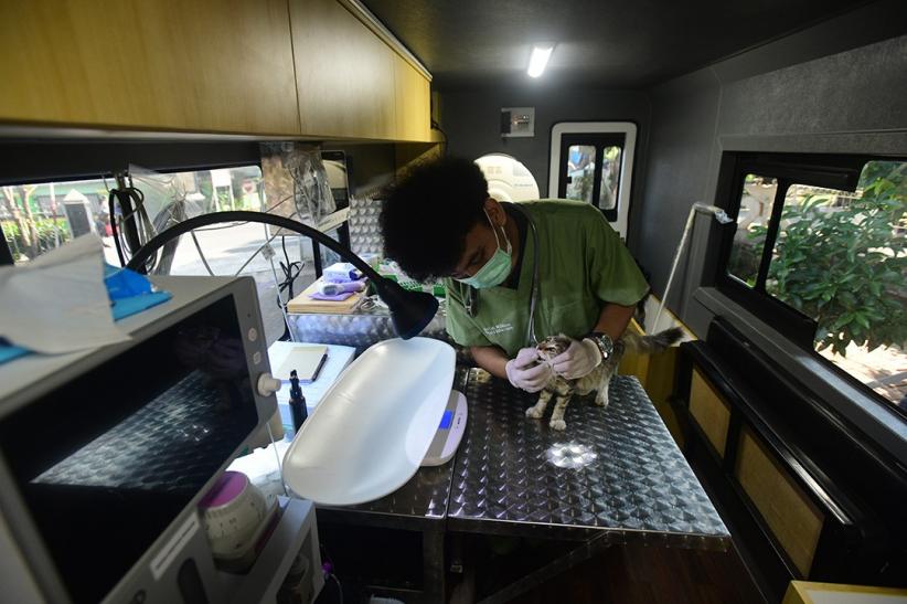 Mobil Klinik Hewan Keliling Jakarta Beri Pelayanan Sterilisasi hingga USG - Bagian 6