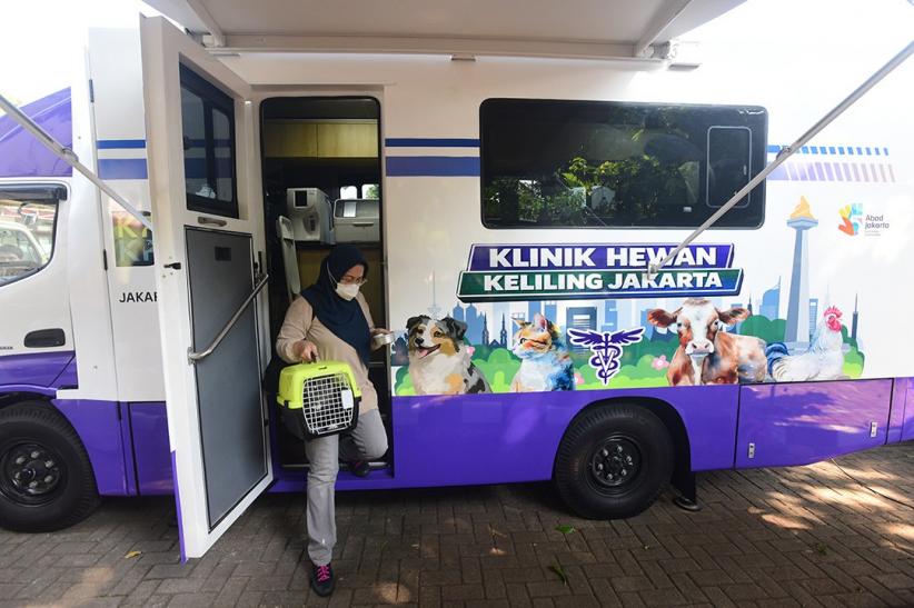 Mobil Klinik Hewan Keliling Jakarta Beri Pelayanan Sterilisasi hingga USG - Bagian 2