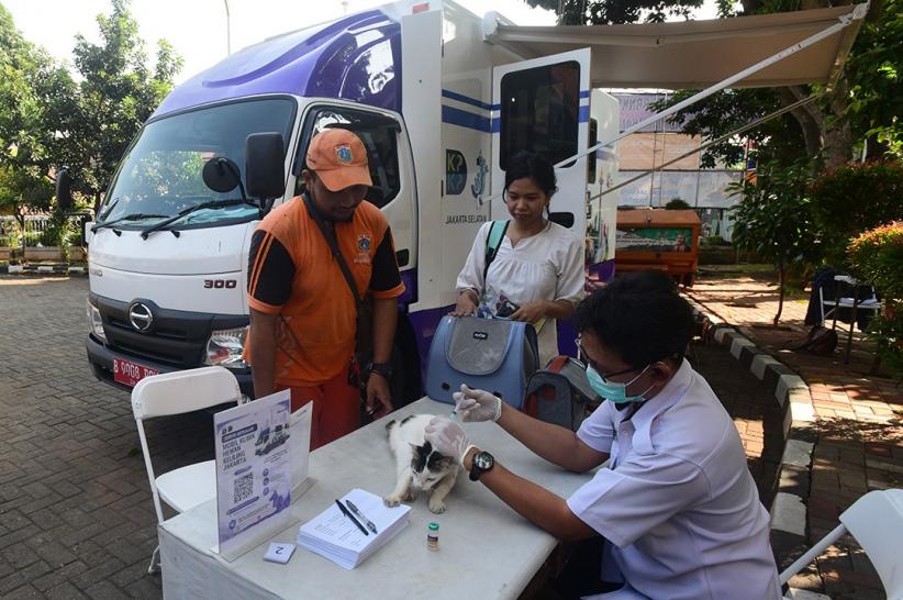 Mobil Klinik Hewan Keliling Jakarta Beri Pelayanan Sterilisasi hingga USG - Bagian 5
