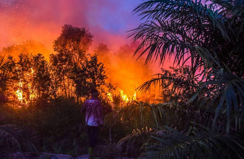 Titik Kebakaran Lahan di Ogan Ilir Bertambah - Bagian 2