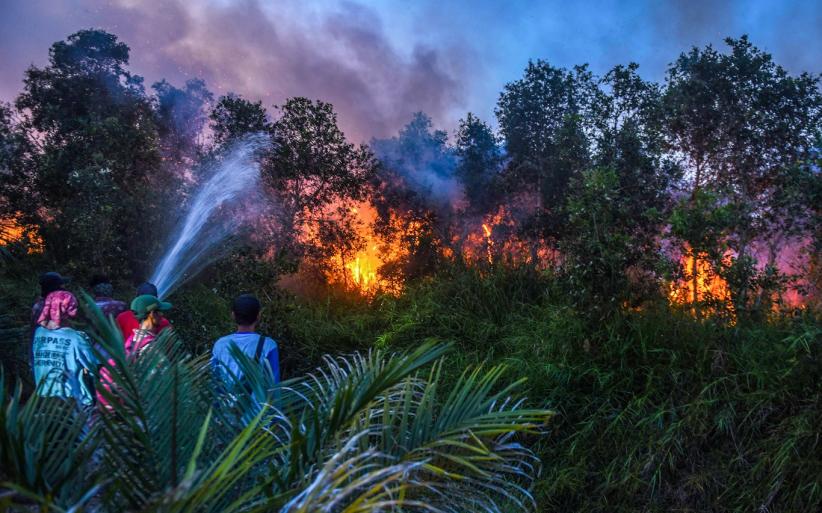 Titik Kebakaran Lahan di Ogan Ilir Bertambah - Bagian 1