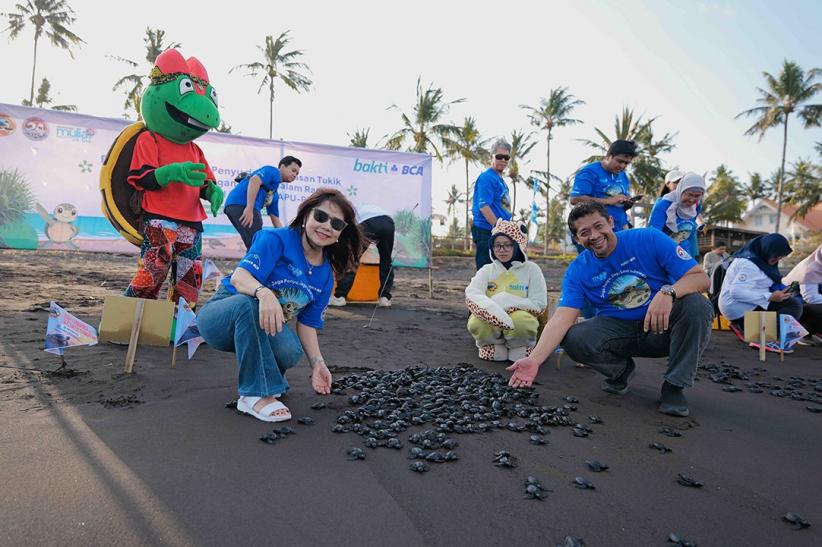 1.300 Tukik Dilepasliarkan untuk Jaga Kelestarian Penyu di Banyuwangi - Bagian 1
