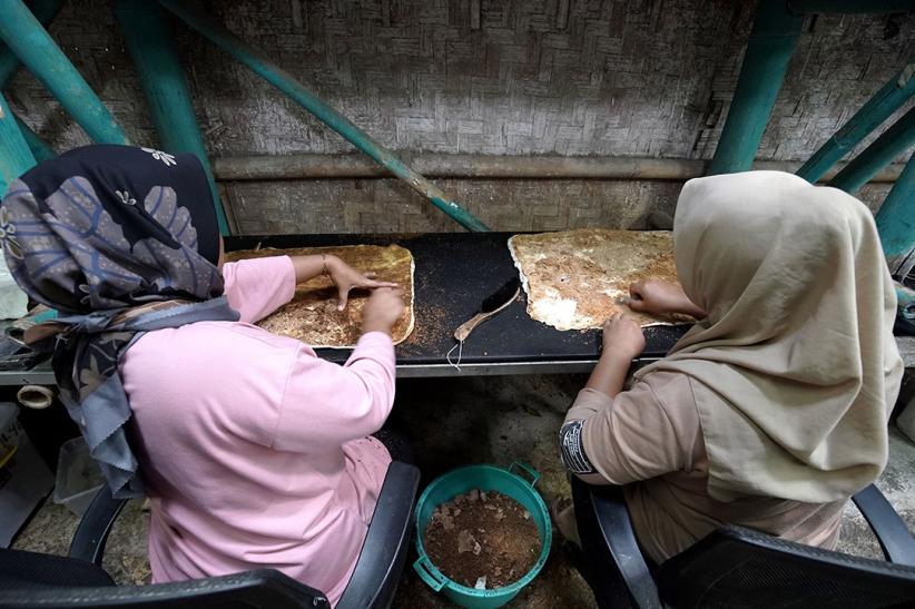 Inovasi Material Berbasis Mycelium dan Rumput Laut Dorong Ekonomi Berkelanjutan - Bagian 2