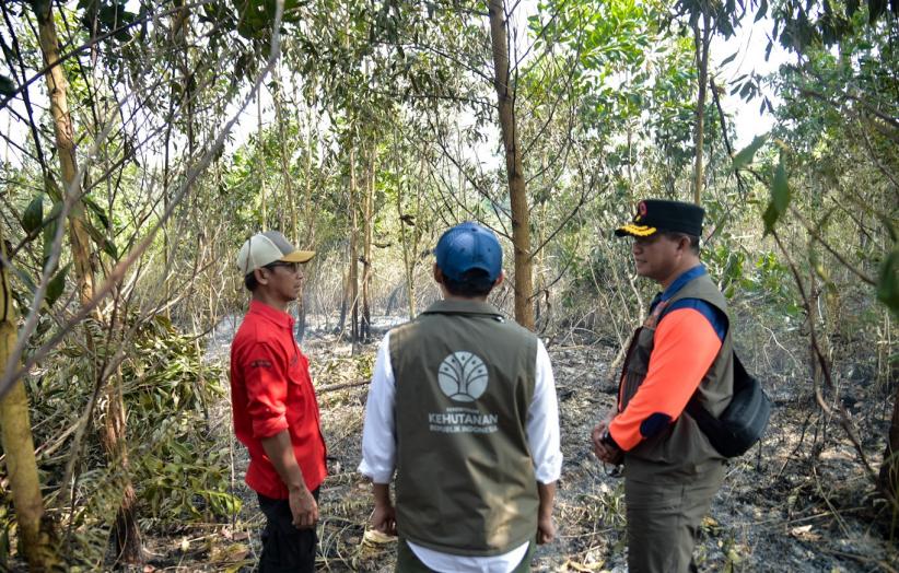 Menhut Raja Juli Antoni Cek Penanganan Karhutla di Kalimantan Selatan - Bagian 3
