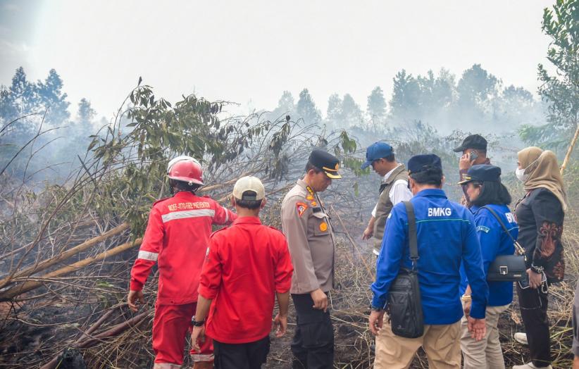 Menhut Raja Juli Antoni Cek Penanganan Karhutla di Kalimantan Selatan - Bagian 1