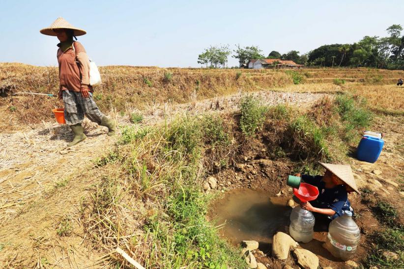 Kekeringan di Jonggol, Warga Terpaksa Menimba Air dari Kubangan Bekas Sawah - Bagian 2