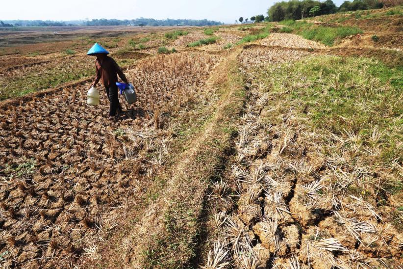 Kekeringan di Jonggol, Warga Terpaksa Menimba Air dari Kubangan Bekas Sawah - Bagian 6