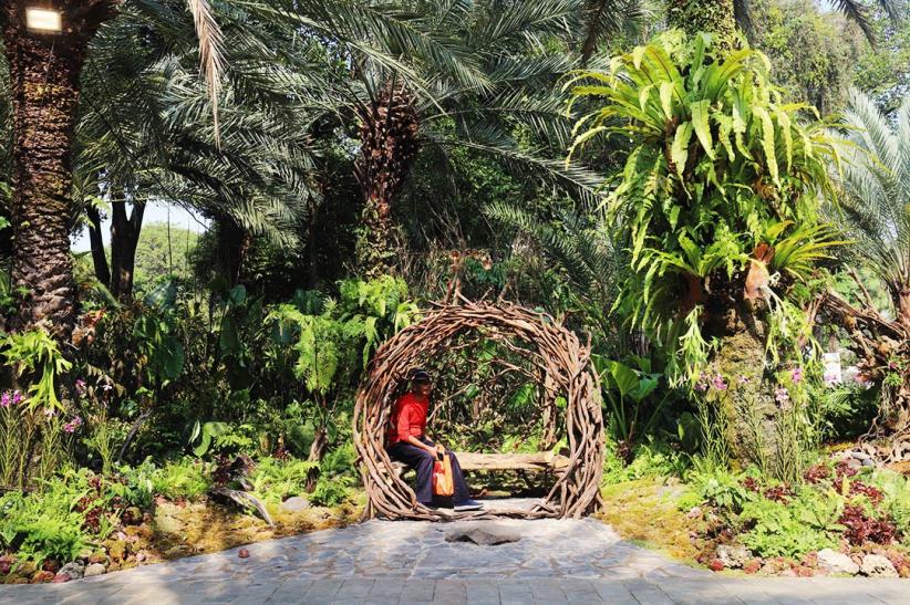 Pameran Flona 2026 Tampilkan Ragam Tanaman dan Hewan di Lapangan Banteng - Bagian 5