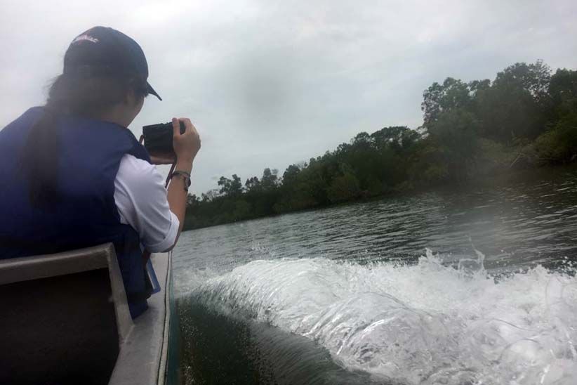 Jelajah Hutan Bakau Pulau Bintan - Bagian 3