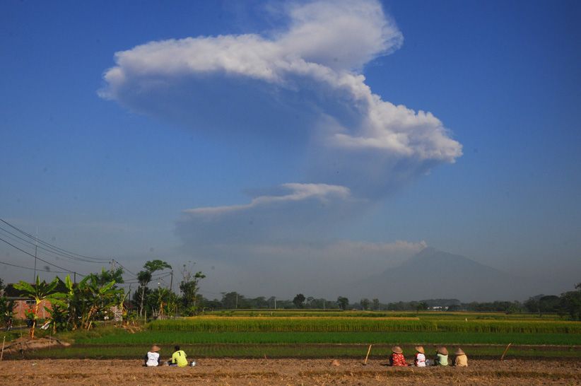 Abu Vulkanik Gunung Merapi Selimuti Jalanan di Sleman - Bagian 3