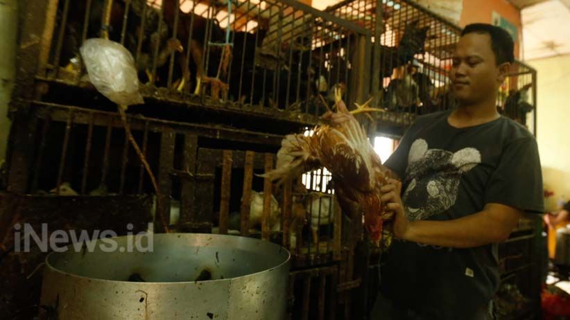 Suasana Belanja Kebutuhan Hari Pertama Ramadan di Pasar Pondok Labu - Bagian 5