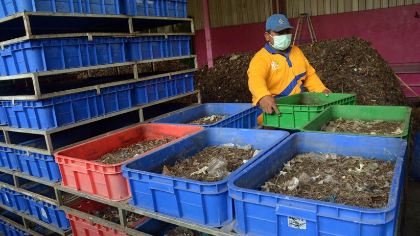 Surabaya Gunakan Teknologi Ulat untuk Pengolahan Sampah Organik - Bagian 4
