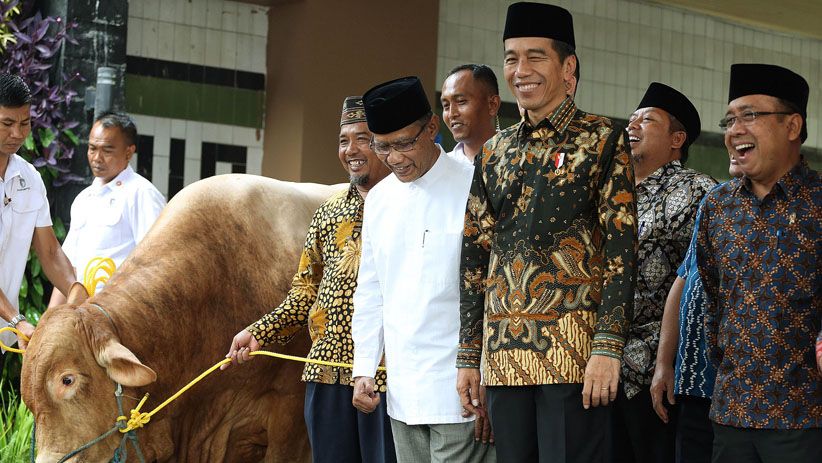 Kunjungi Muhammadiyah, Presiden Jokowi Serahkan 2 Ekor Sapi Kurban - Bagian 3