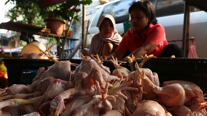 Kemendag Ubah Peraturan Harga Acuan Ayam dan Telur - Bagian 1