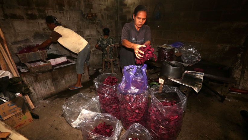 Manisnya Keripik Telo Ungu Khas Trawas Mojokerto - Bagian 2