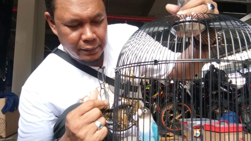 Ribuan Kicau Mania se-Indonesia Ramaikan Presiden Cup V - Bagian 4