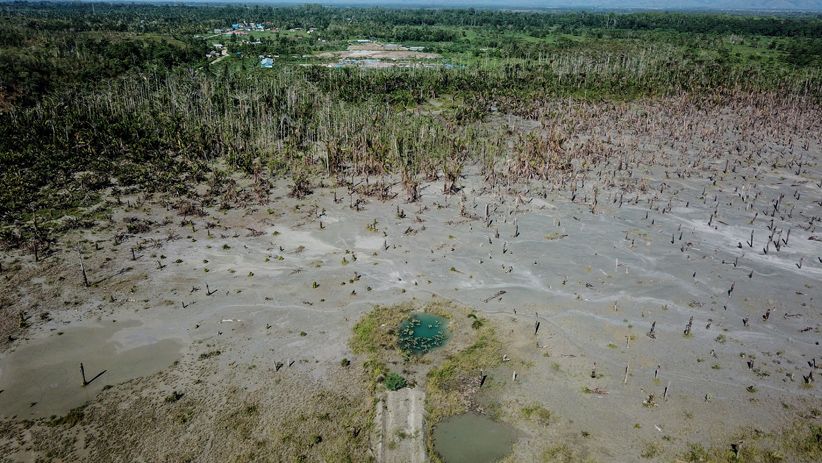 40 Hektare Kebun Sagu Rusak akibat Tambang Emas Ilegal di Pulau Buru - Bagian 2