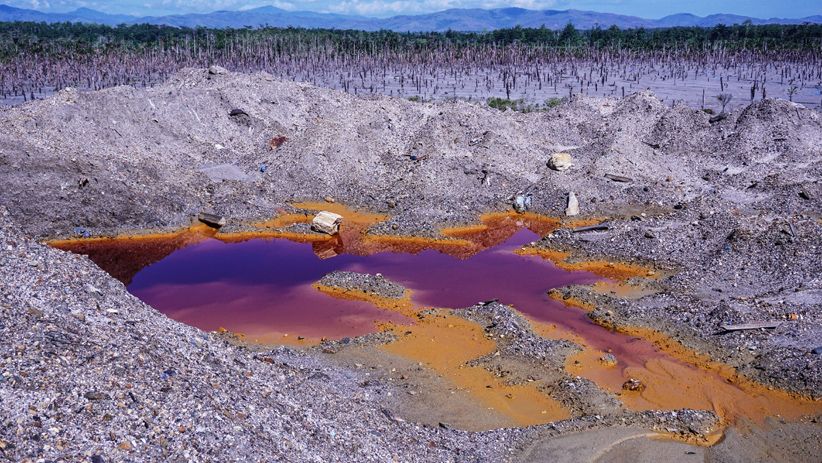 40 Hektare Kebun Sagu Rusak akibat Tambang Emas Ilegal di Pulau Buru - Bagian 1