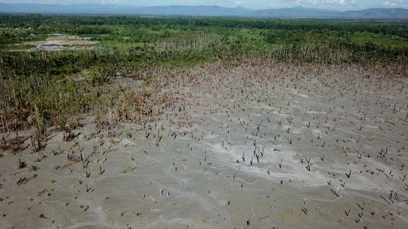 40 Hektare Kebun Sagu Rusak akibat Tambang Emas Ilegal di Pulau Buru - Bagian 3