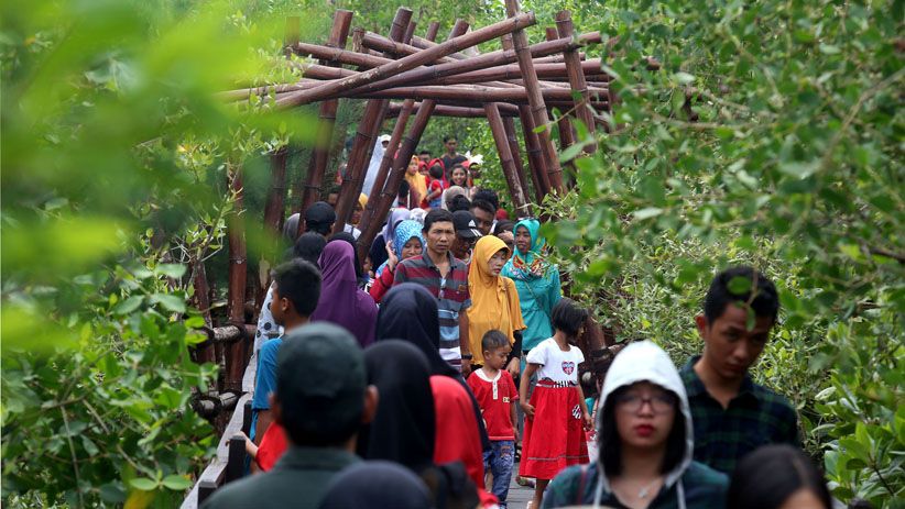 Libur Tahun Baru, Hutan Mangrove Wonorejo Dipenuhi Pengunjung - Bagian 3